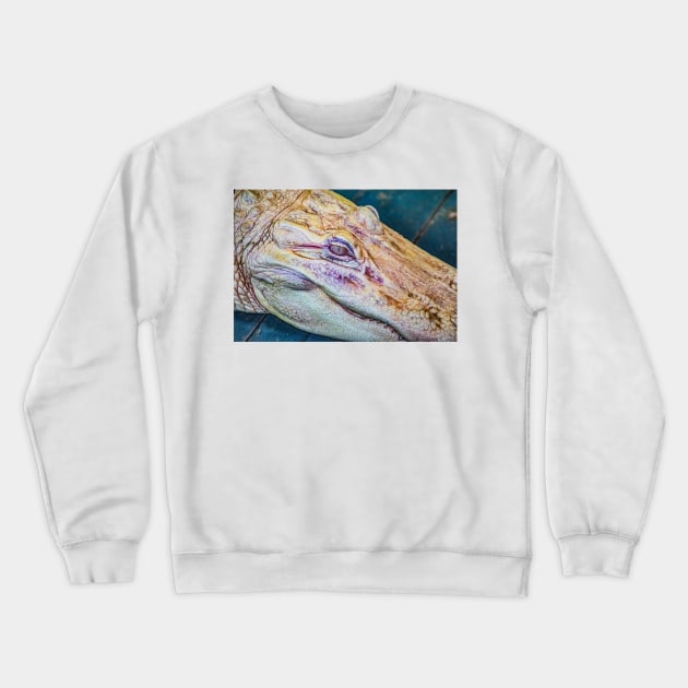 Face of a albino alligator Crewneck Sweatshirt by KensLensDesigns